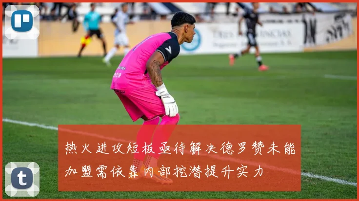 热火进攻短板亟待解决德罗赞未能加盟需依靠内部挖潜提升实力